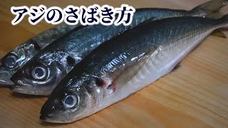 How to Fillet Horse Mackerel & Make Horse Mackerel Tataki Sashimi【English subtitles】