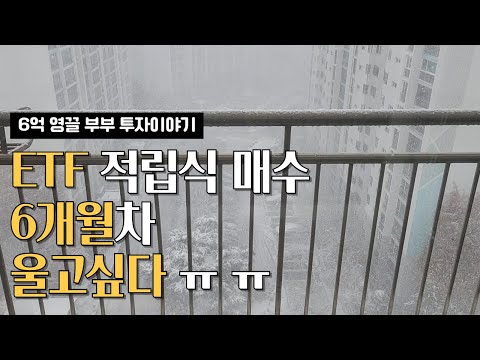 초보투자자 11월 투자기록 | ETF 적립식 매수 | 현재 수익 공개 | 브이로