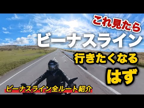 【ビーナスラインひとり旅】ハーレーで念願の絶景ロード