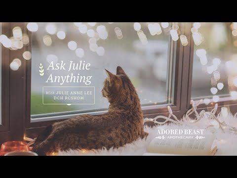 Ask Julie Anything - January Q & A Session 2024