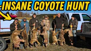 ACTION PACKED COYOTE HUNT WITH FAST DOGS!!!