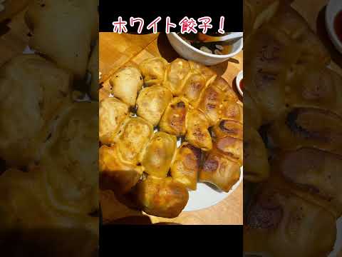 【千葉柏グルメ】ホワイト餃子を堪能！#ホワイト餃子 #千葉 #柏 #グルメ #千葉柏 #千葉グルメ