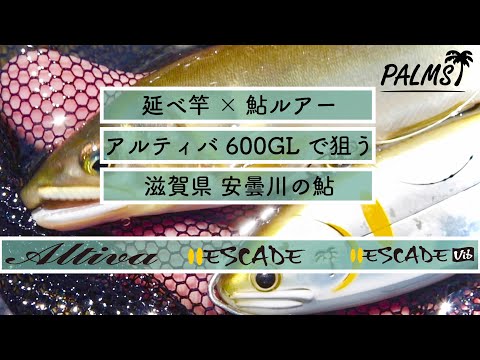 [延べ竿×鮎ルアー]安曇川鮎をアルティバ600GL&エスケードシリーズで狙う