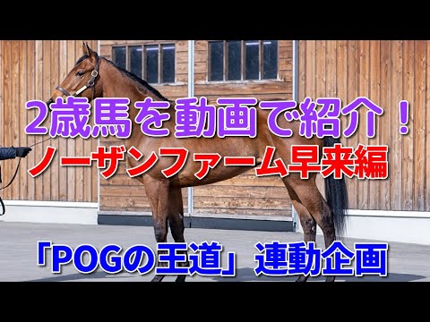 「POGの王道」2歳馬を動画で紹介！【ノーザンファーム早来編】