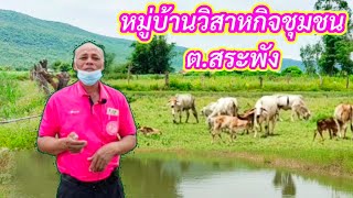 หมู่บ้านวิสาหกิจชุมชน กลุ่มเลี้ยงวัวเนื้อและเกษตรผสมผสานที่บ้านหนองทุ่ม ต.สระพัง บ้านแท่น