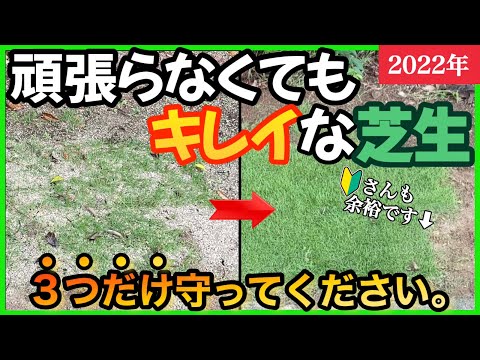 芝生が簡単な手入れでキレイになる方法3選！コツをつかんで賢く楽しもう！