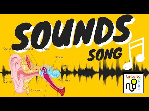 Sound song | Science | La La La Learn