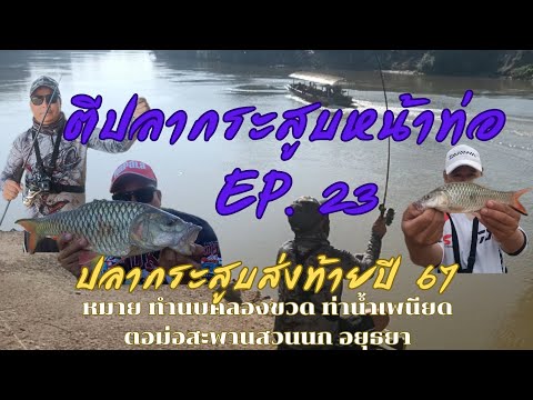 ปลากระสูบส่งท้ายปี 67 ตีปลากระสูบหน้าท่อ EP.23 หมายท่าน้ำเพนียด , ทำนบคลองขวด , สะพานสวนนก อยุธยา