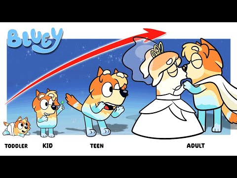 Bluey New Growing Up Full | Have You This Before | Go WOW