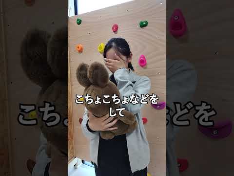 【泣いている子供】ほいくえんの先生の対応#shorts