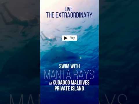 🤩 Swim with Manta Rays at Kudadoo Maldives !