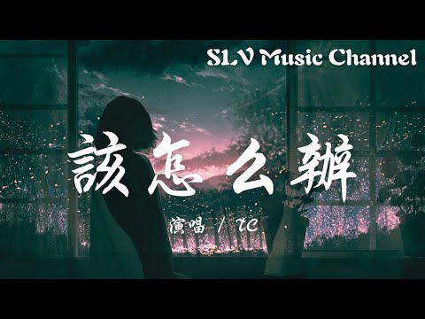 TC - 该怎么办【没有你我该怎么办，怎么办，怎么办。】♫『動態歌詞Lyrics』♫