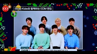 Stray Kids for JYP EDM Funding Project "Every Dream Matters!"🥰💖 #skz #straykids #jyp