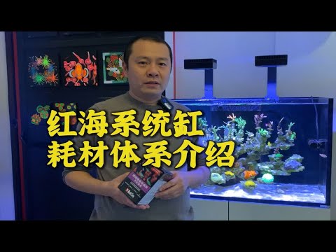 全套缸都采用红海设备养护是种什么体验