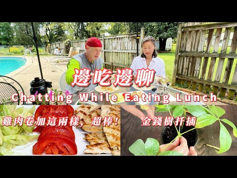 【華園花道】金錢樹扦插｜午餐墨西哥雞肉卷，肉嫩汁多，超香｜飯間閒聊，聽聽我們聊了些什麼｜Plant Money Tree In The Pot｜ Chatting While Eating Lunch