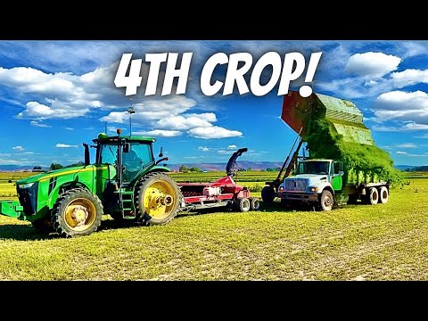 Record speeds cutting 4th crop hay!