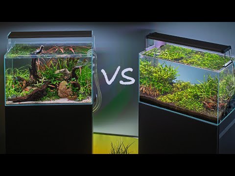 Nature Style vs Dutch Style Aquascaping (4K)