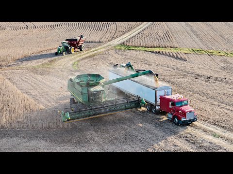 Soybean Harvest Grand Finale