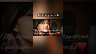 MANIKE MAGE HITHE |Yohani|Viral Tamil song  with lyrics and English translation|#shorts