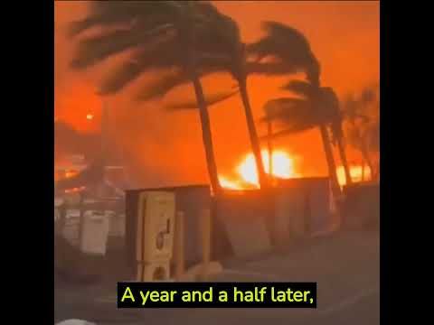 Hawaii's Deadly Wildfire Underestimation: What Went Wrong?