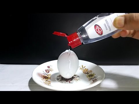 Easy Science Experiments to do at Home for Kids | Easy Experiment to do at Home