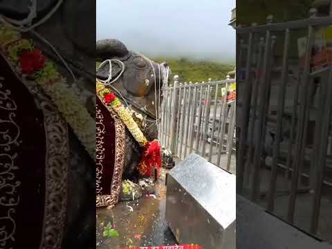 Mahadev ♥️ kedarnath temple #mahadev #kedarnathdham #kedarnathtemple #jayshreekedarnath #shorts ♥️🙏