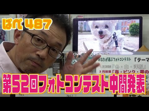 第５２回フォトコンテスト中間発表～ぱぺ487