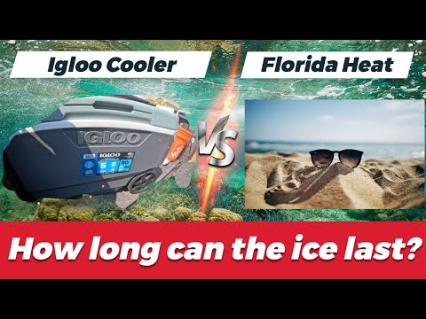 Budget Cooler vs Ice: Can Costco's Igloo 90-Quart Maxcold Cooler Keep Ice for Days? Let's Find Out!