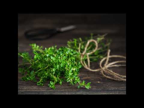 Let No Man Steal Your Thyme A Cappella High Voice