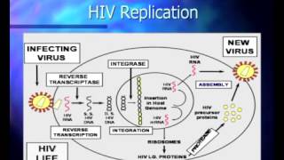 Basic Course in HIV - Pathophysiology and Natural History of HIV Infection