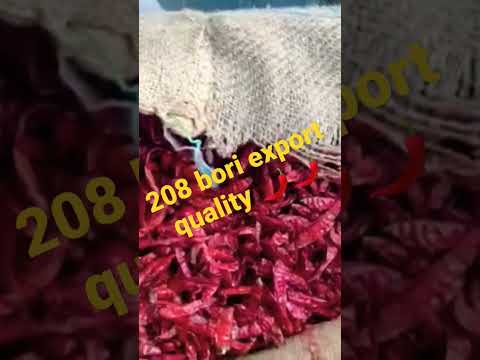 208 bori export quality fulcut mirchi 🌶️🌶️ mirchi mandi Bedia