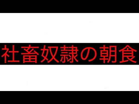 社畜奴隷の朝食作り。