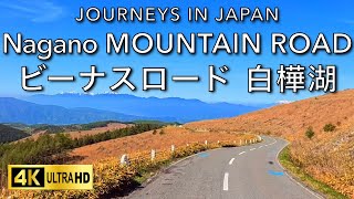 Driving Nagano Venus Line mountain road with relaxing music 4K