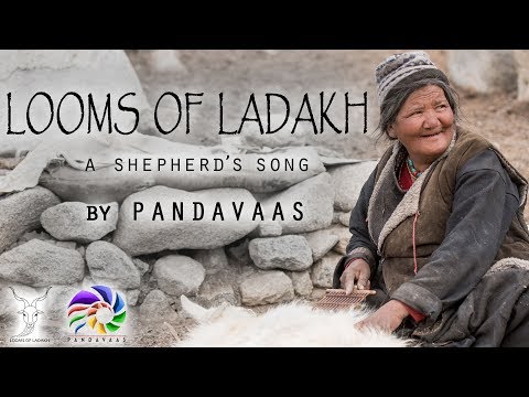 Looms of Ladakh | A Shepherd's Song | Pandavaas