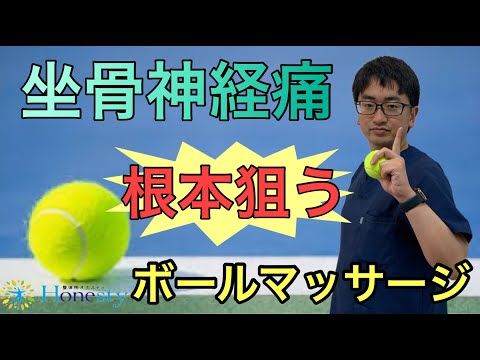 【坐骨神経痛】根本を狙うボールマッサージ 〜痛みに本気だから個別対応【整体院オネスティ】神奈川県大和市