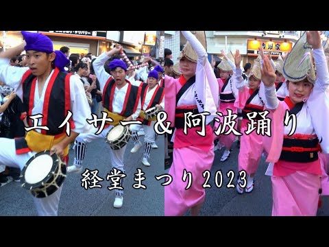 和光青年会エイサー＆むらさき連阿波踊り 農大通りパレード 経堂まつり2023