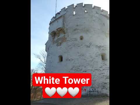 White Tower #shorts #WhiteTower #whitetone #white #witetower #brasov #beautiful #adorable ♥️🤍♥️🤍♥️