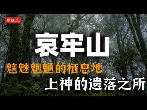 哀牢山 上神遗落之地 四名战士遇鬼怪索命