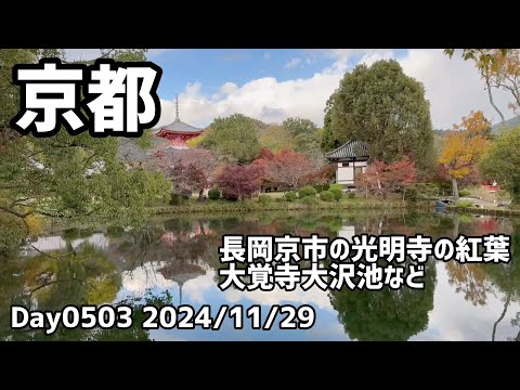 Day0503_紅葉の京都観光、長岡京市の光明寺、大覚寺大沢池、渡月橋、天龍寺など。【2024年11月29日】