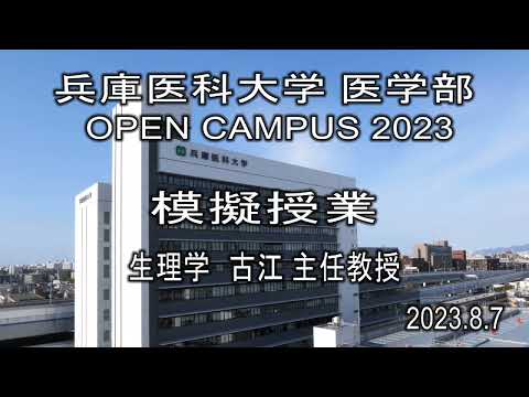 【兵庫医科大学】模擬授業「感覚の神経伝達機構-脳から見た感覚の不思議と痛み-」（医学部 OPEN CAMPUS 2023）