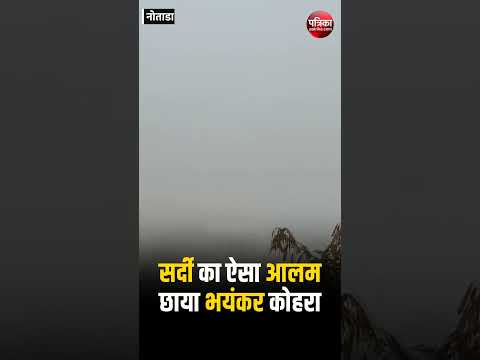 मकड़ी के जाले पर जमीं ओस की बूंदें,सर्द Rajasthan । Notada Bundi