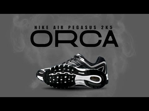 Nike Air Pegasus 2K5 ORCA 2025 DETAILED LOOK + PRICE