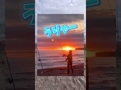 アキアジ釣り覚醒！北海道の釣り！#shorts#北海道#釣り#アキアジ#鮭#シャケ#サケ#投げ釣り#fishing