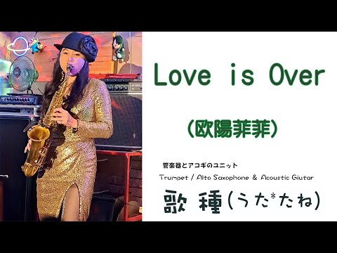 【ベンチャーズハウス六絃】Love is Over Cover