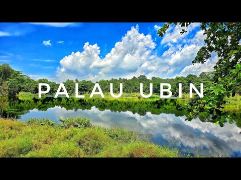 Una giornata fuori Singapore - Palau Ubin