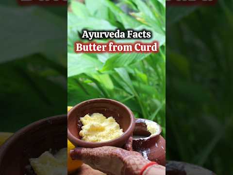 Ayurveda Fact-Butter made from Curd is best for preparing ghee🤯💥 #shorts #ayurvedatips