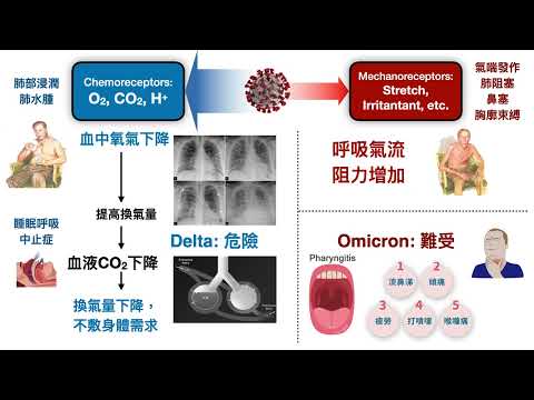 20230224 常見臨床症狀對應呼吸生理異常之AI建模觀念