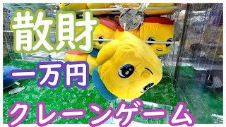 悲報！アームで景品を掴んではいけない！クレーンゲームでウラ技を使って確率無視で景品ゲットしてきた！一万円がすぐに溶けるクレーンゲームもウラ技を使えば初心者でも簡単に景品獲得できる！？