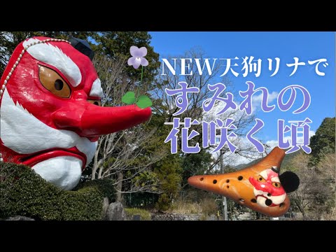 Ocarina『すみれの花咲く頃』F.デーレ