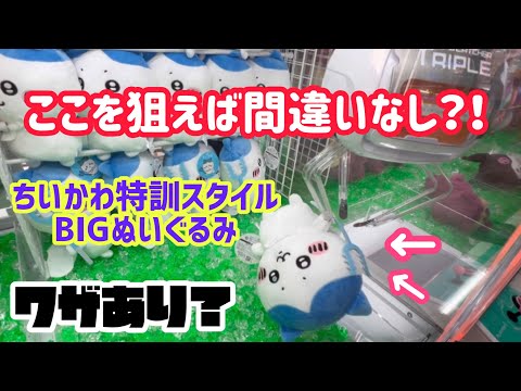 【ちいかわ】特訓スタイルBIGぬいぐるみ〜ここを狙えば間違いなし〜